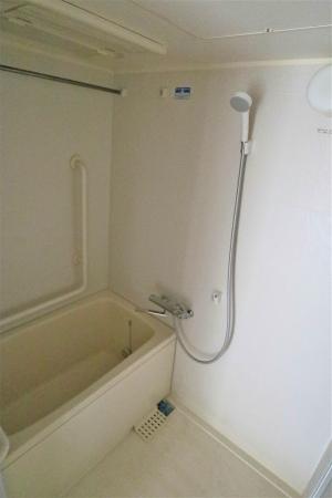 りぶいん しらゆり 虹