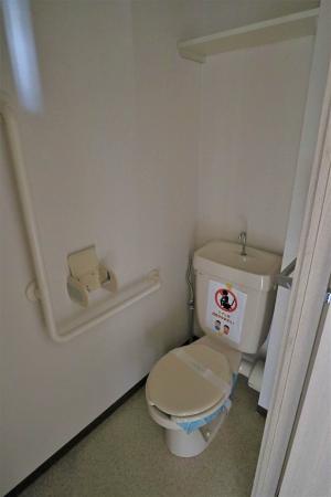 りぶいん しらゆり 虹