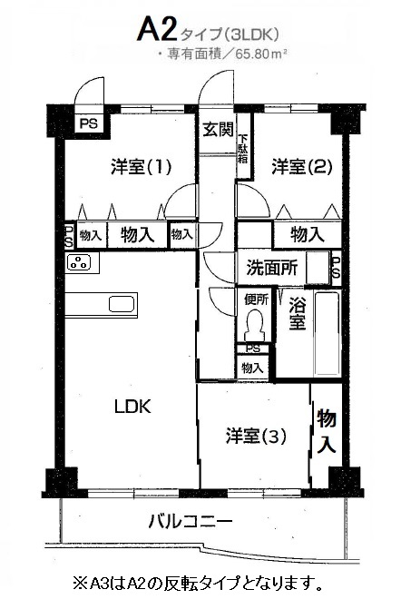 トラッド・セヴェル　A2 タイプ
